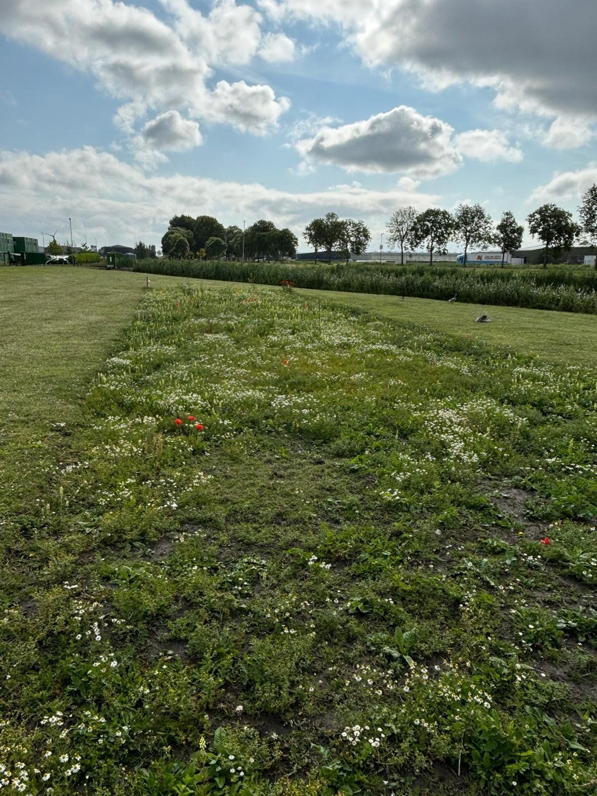 Biodiversiteit