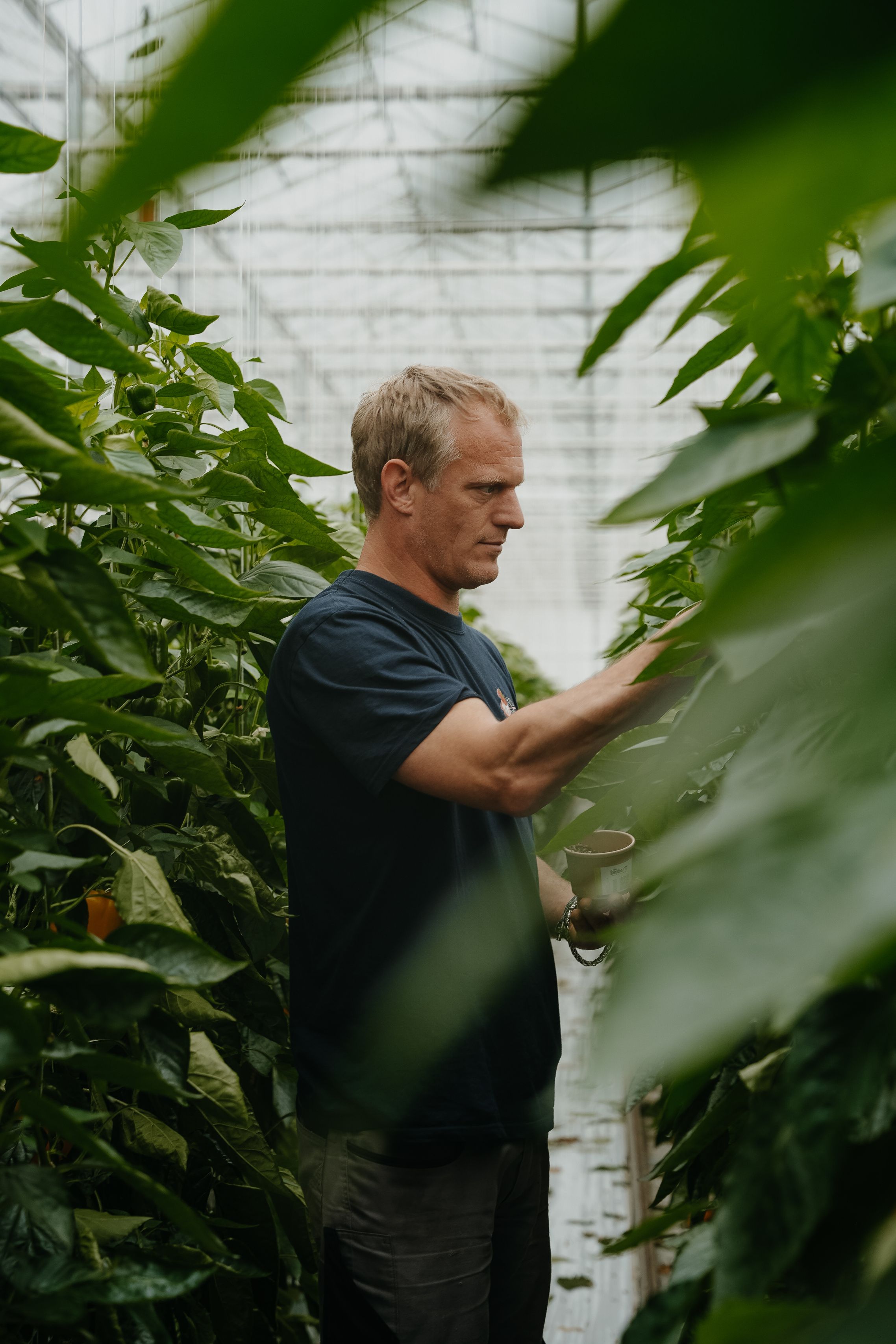 Assistent teelt (fulltime)