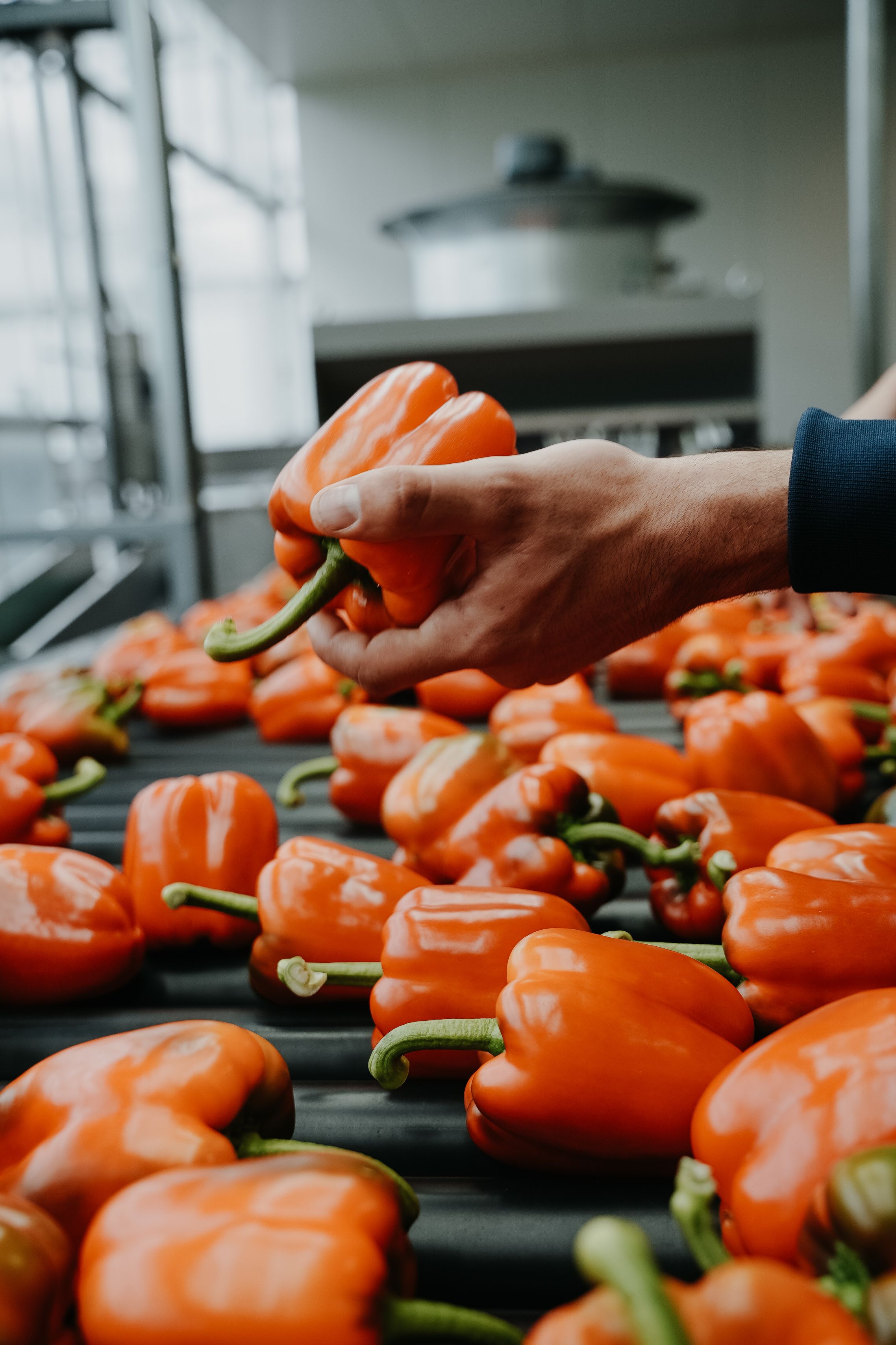 Teamleider Verwerking & Verpakking